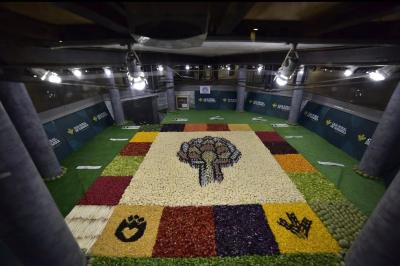 fiestas de la verdura de tudela